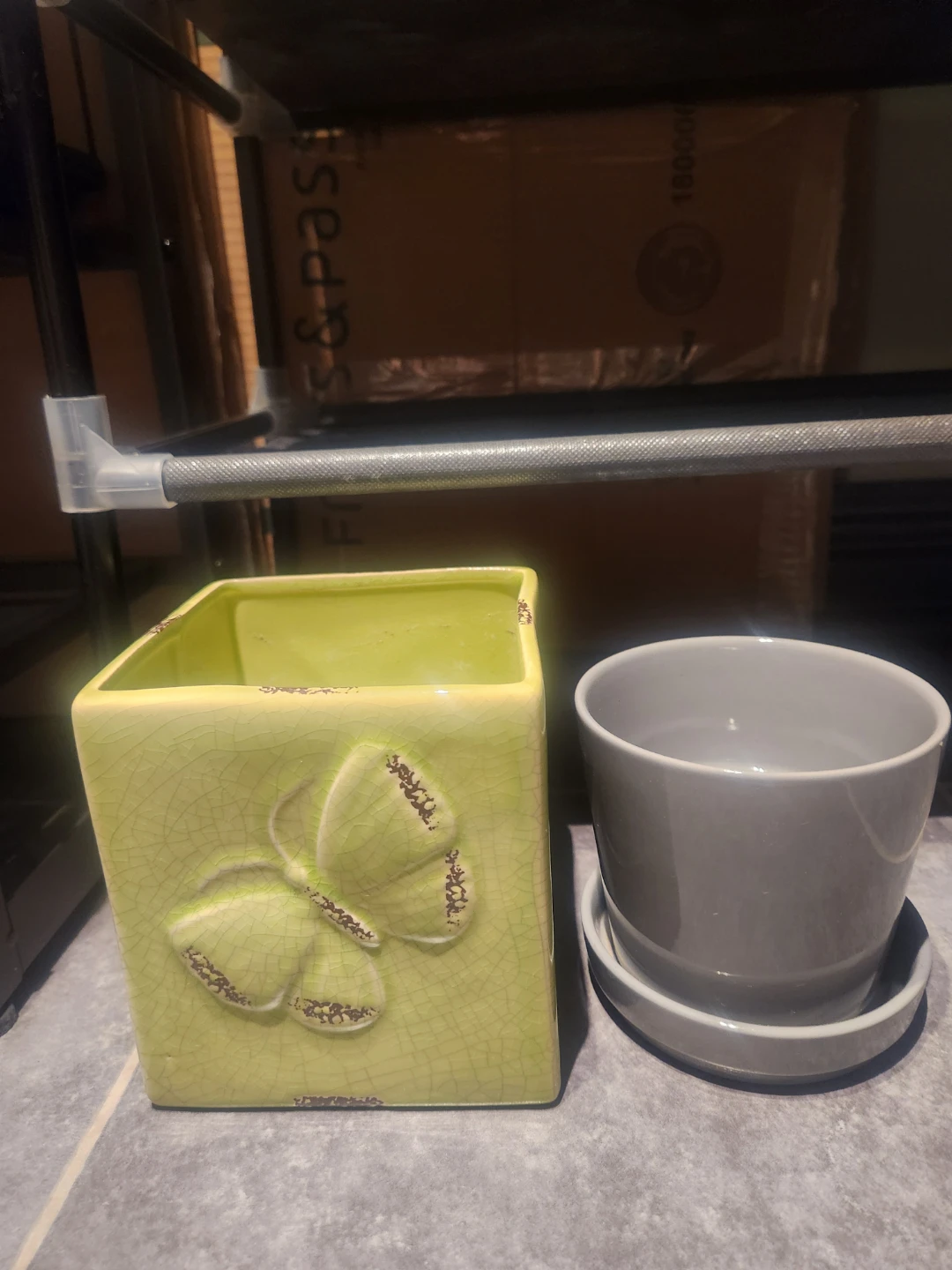 Green Butterfly Ceramic Planter Pot with Grey Pot and Saucer