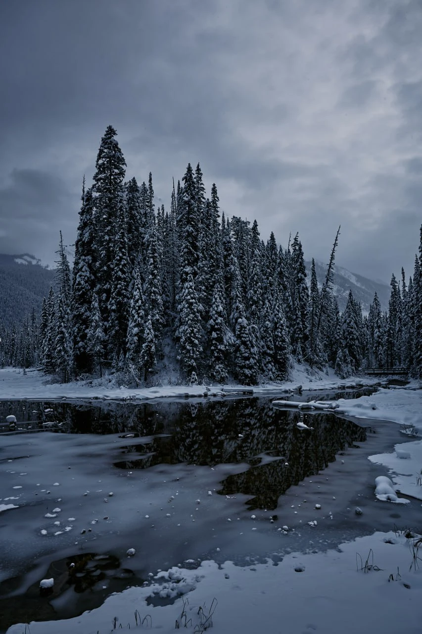 Original Photo Print, Winter Emerald Lake, BC, 12" x 18" - photo 2