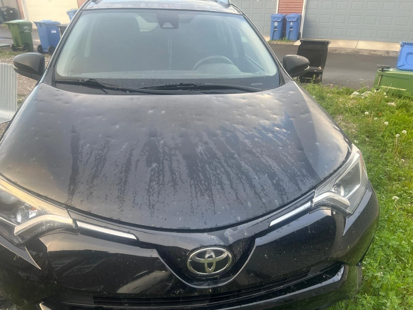 Black Toyota RAV4 2018 LE- Hail damage