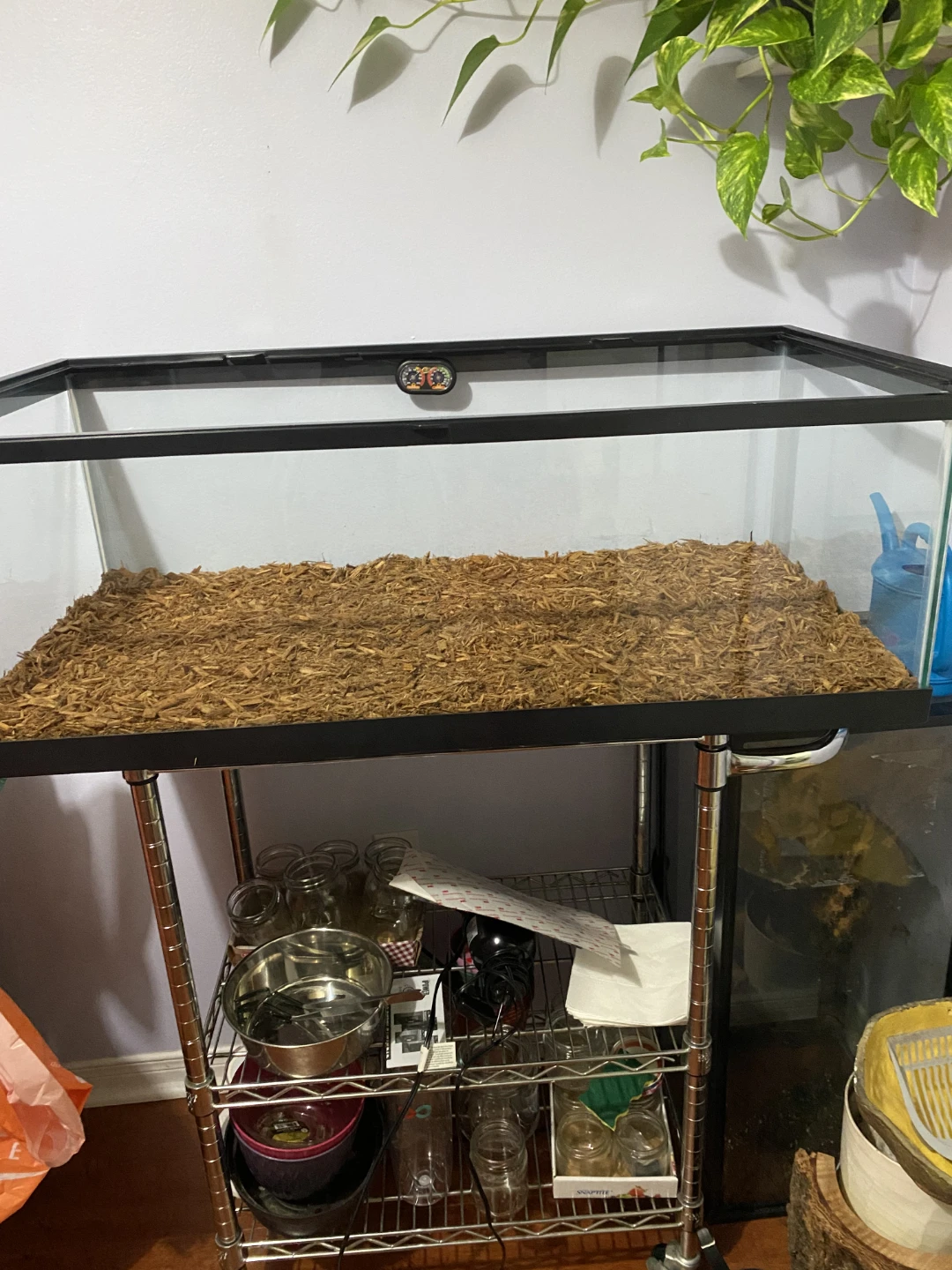 Pet Tank 30 Gallon - photo 2