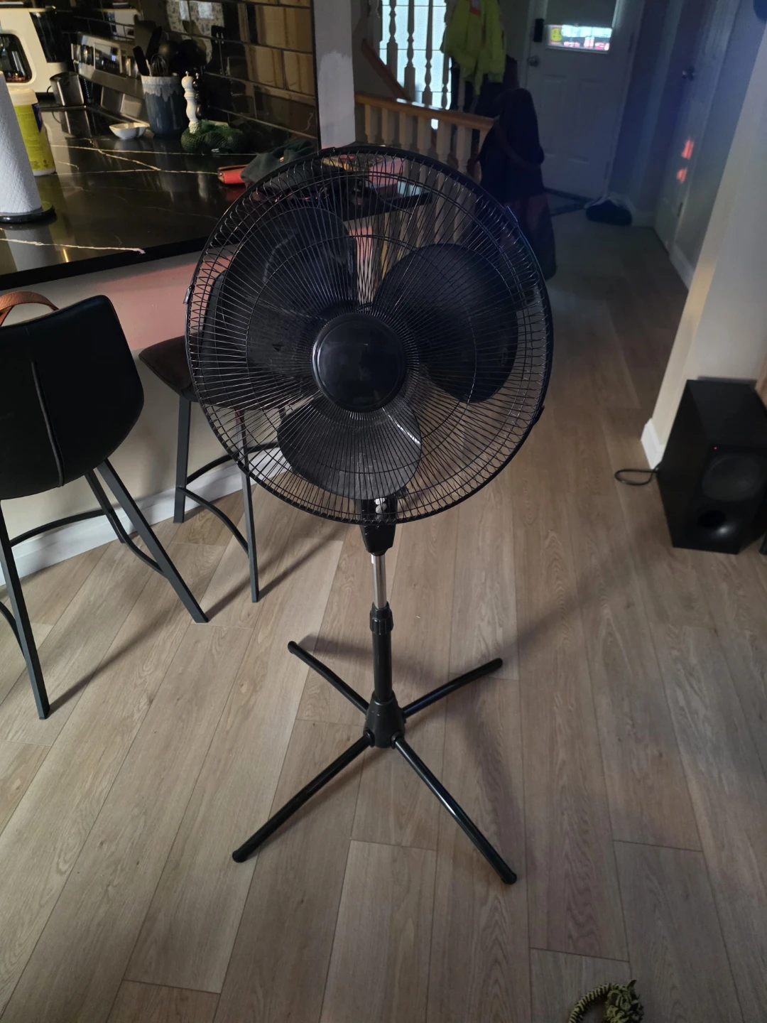Living Electric Fan