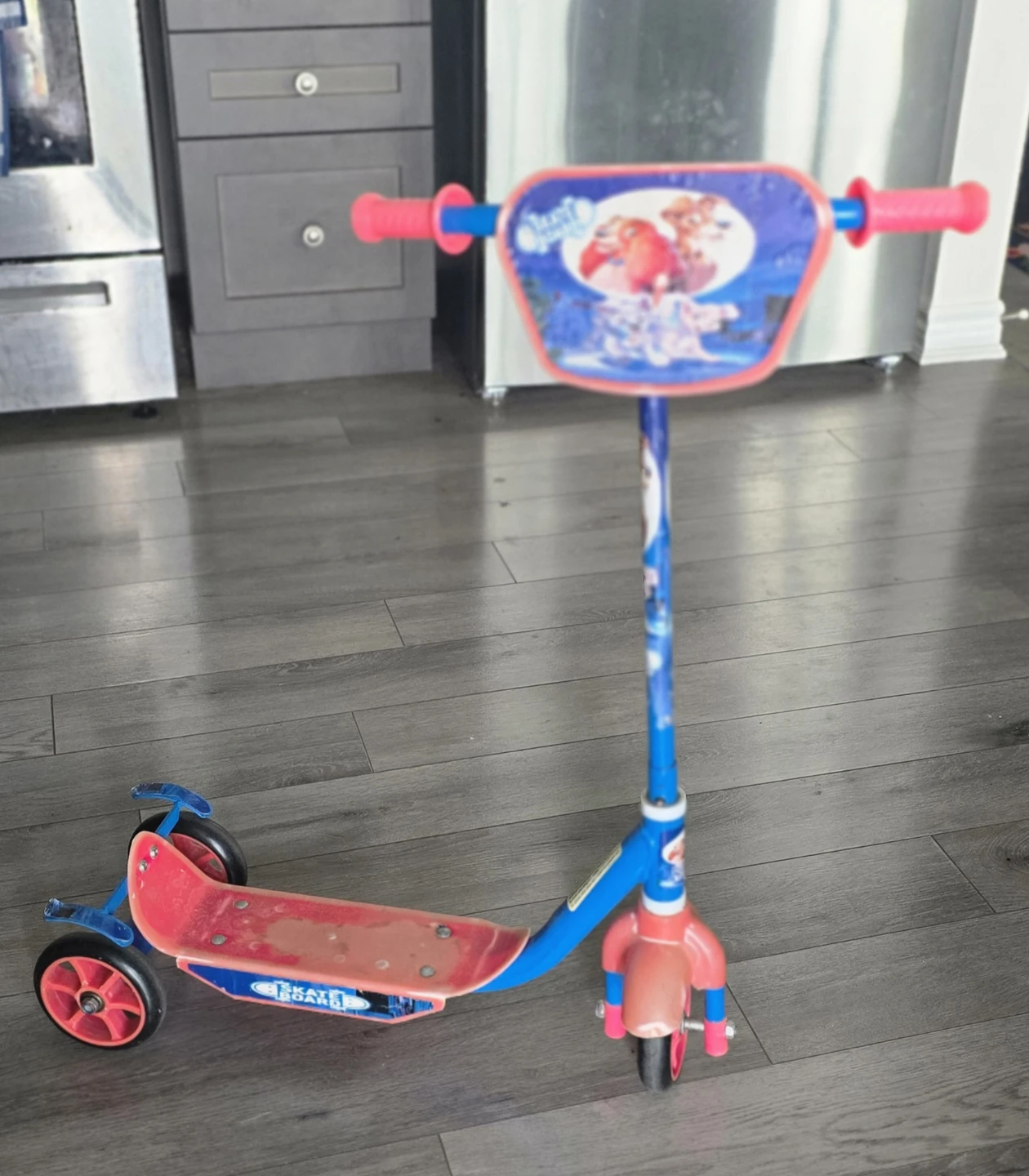 Kids Scooter
