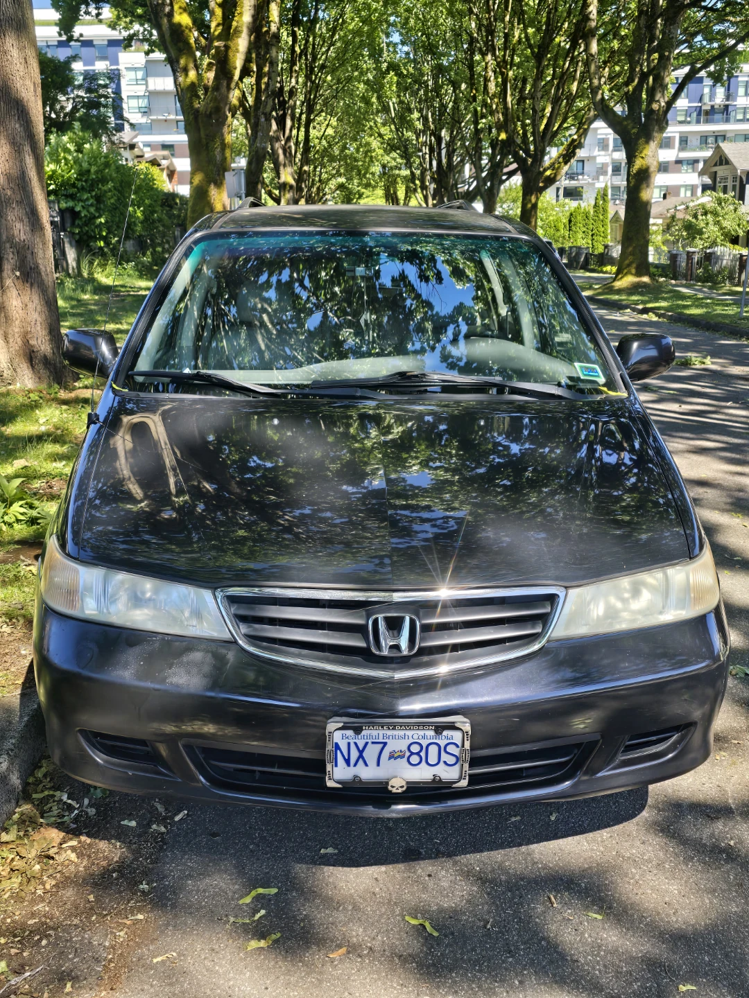 2004 Black Honda Odyssey Minivan - photo 2
