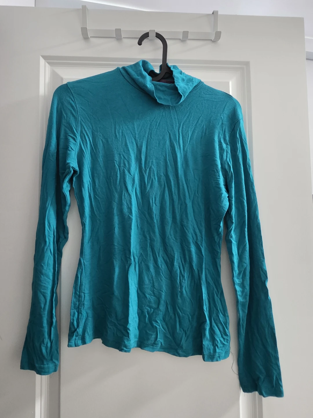 Turquoise Long-Sleeved Turtle Neck