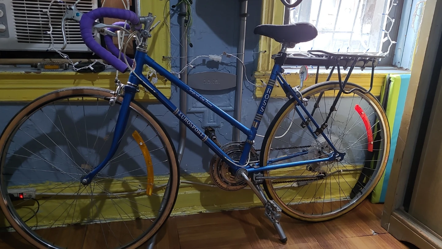 Blue Ross Eurosport Road Bike - photo 2