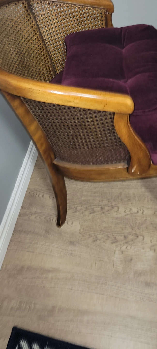 Velvet Accent Chair with Cane Back - photo 3