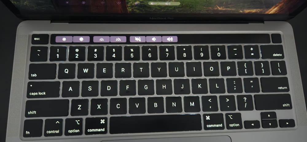 Macbook Pro 13 inch (2020) - photo 4