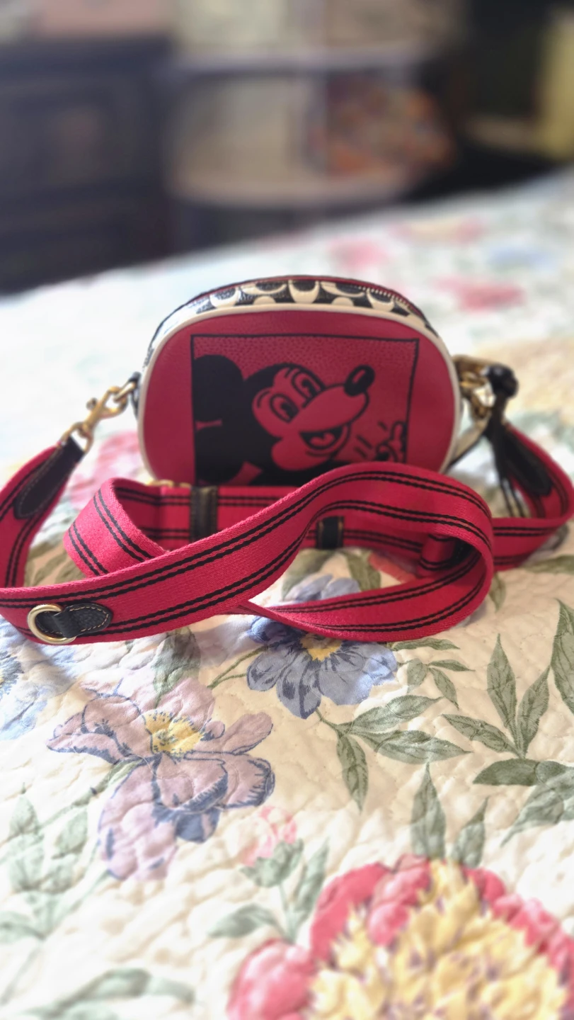 Mickey Mouse Coin Purse