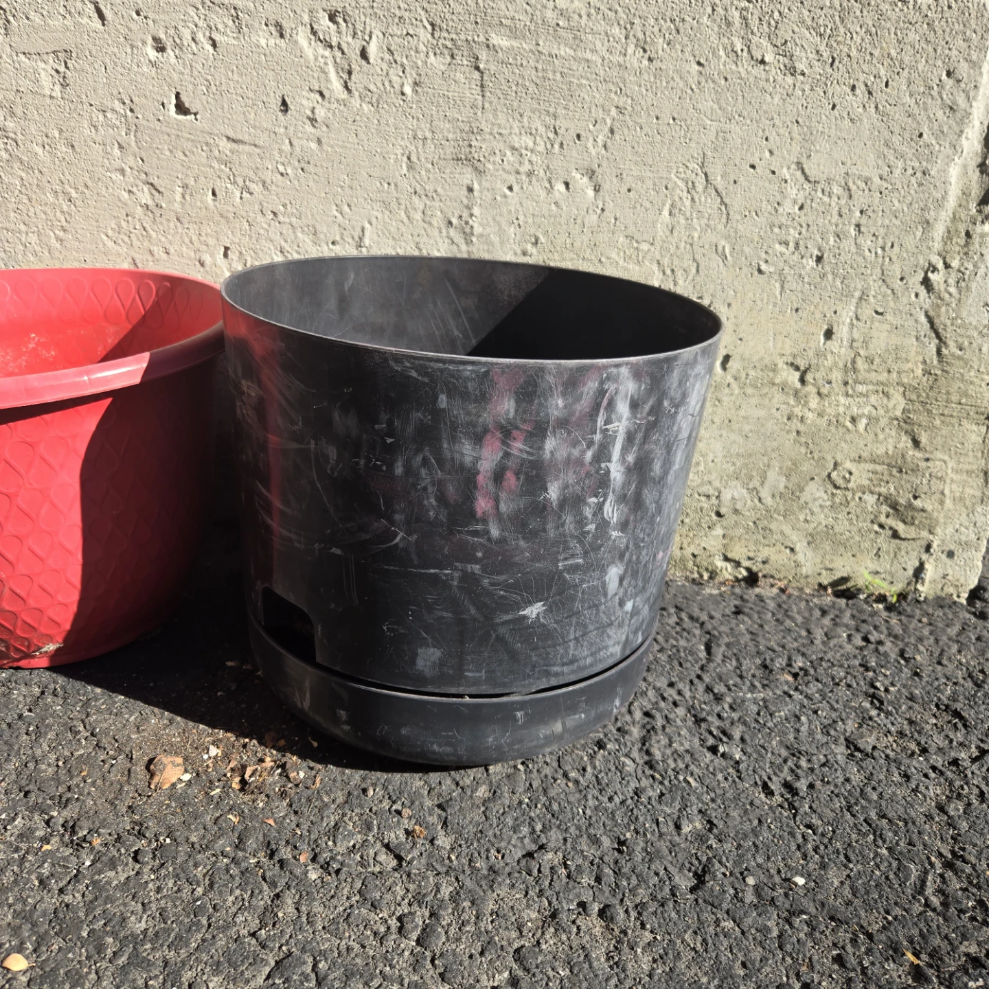 FREE Assorted Plant Pots and Bucket - photo 2