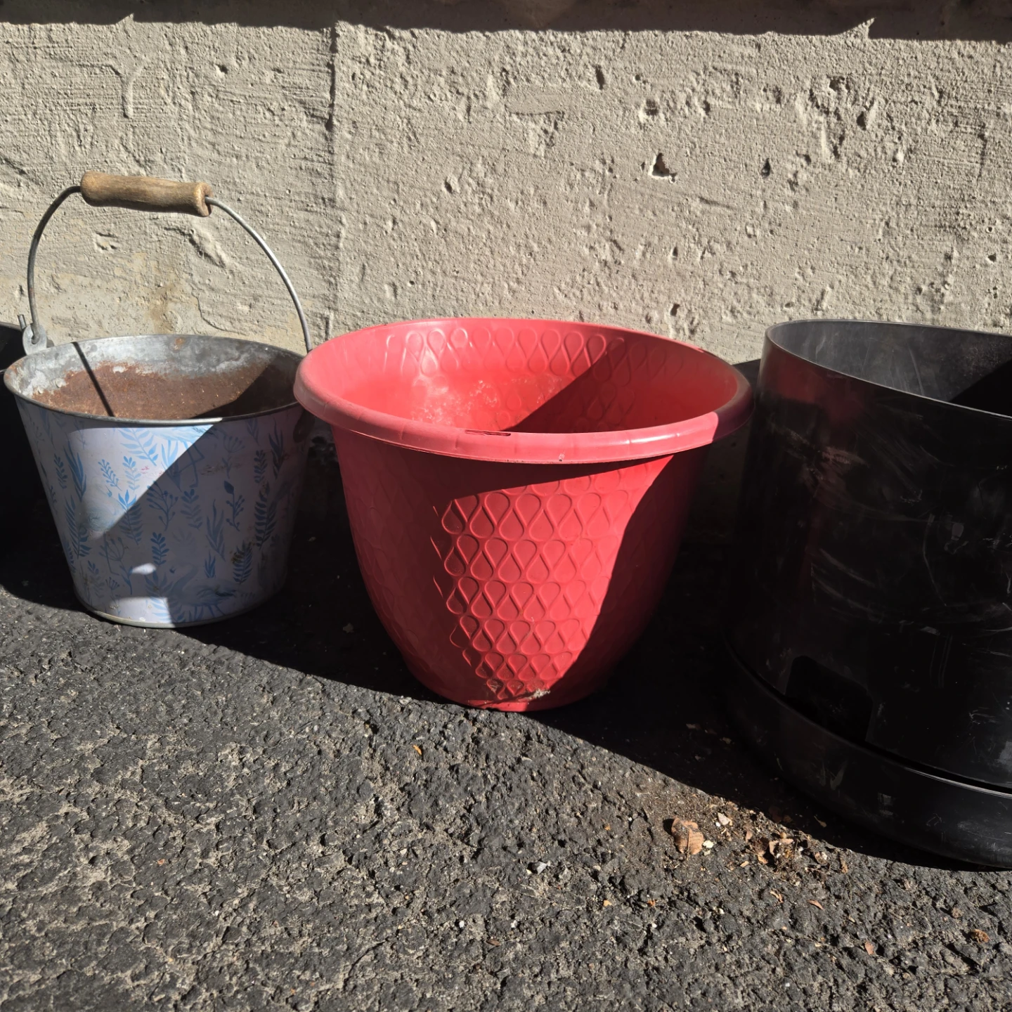 FREE Assorted Plant Pots and Bucket - photo 3