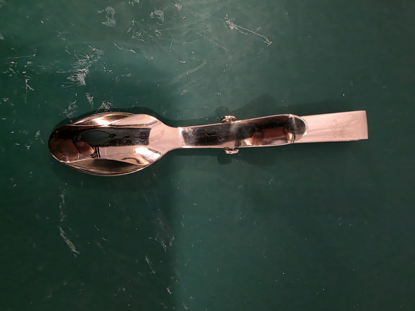 Stainless Steel Spoon Clip