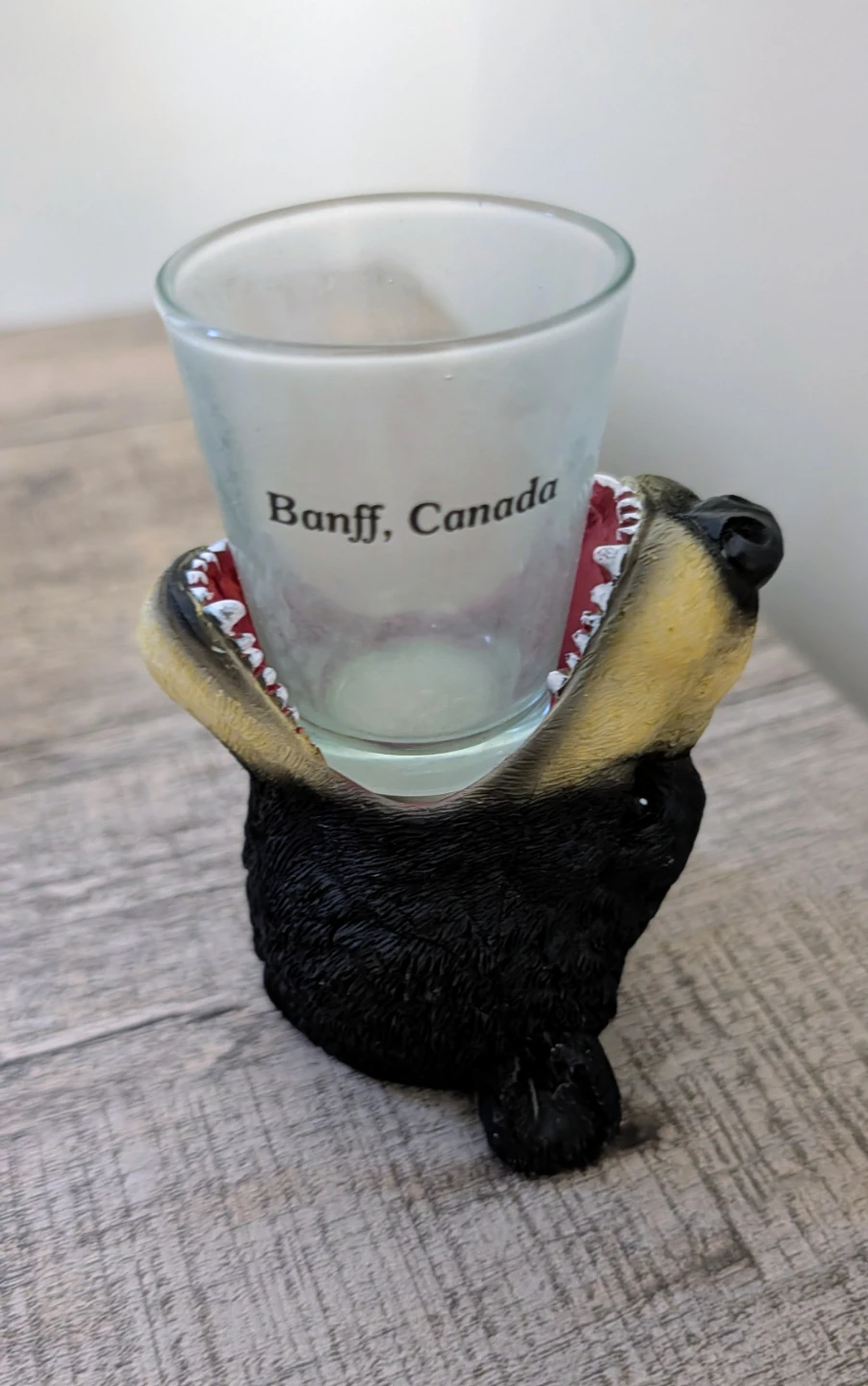 Bear Shot Glass Holder Banff, Canada
