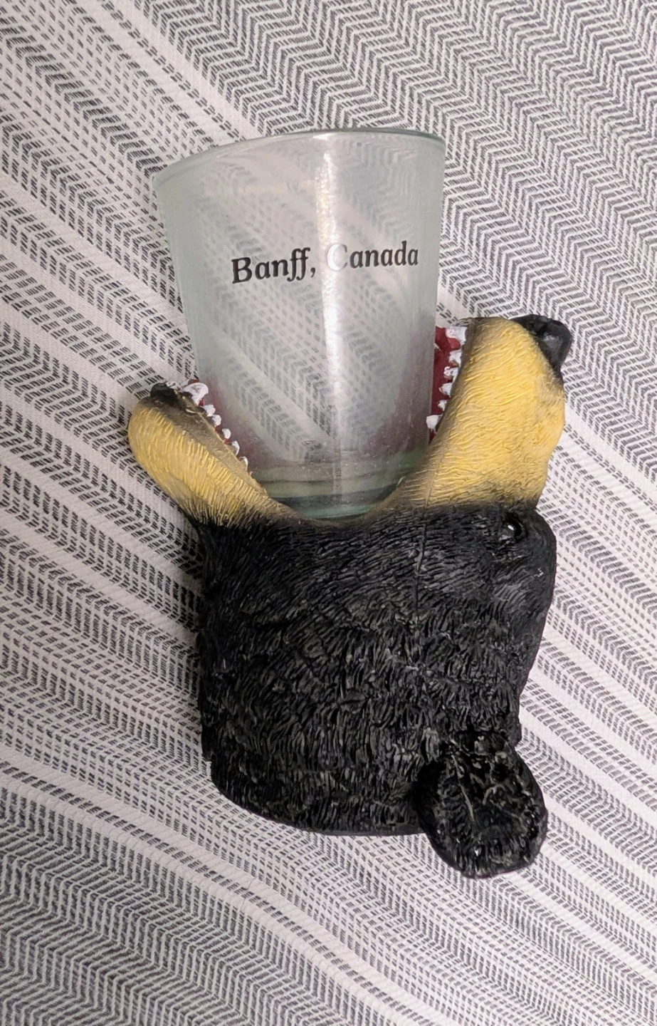 Bear Shot Glass Holder Banff, Canada - photo 2