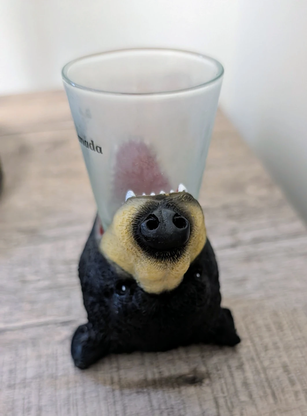 Bear Shot Glass Holder Banff, Canada - photo 3