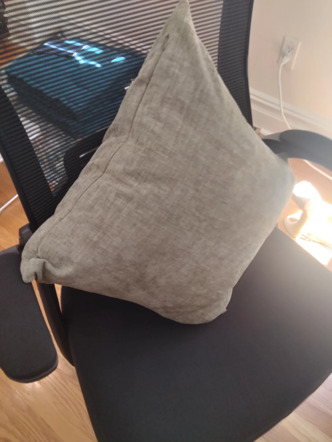 2 Throw pillow inserts and cover