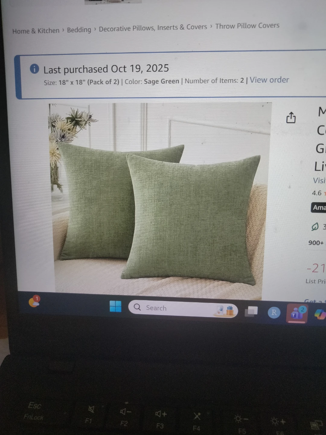2 Throw pillow inserts and cover - photo 4