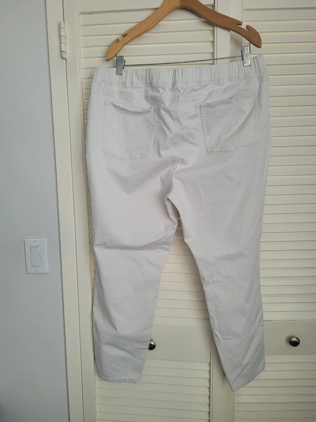 Eileen Fisher White Pants XL - photo 3