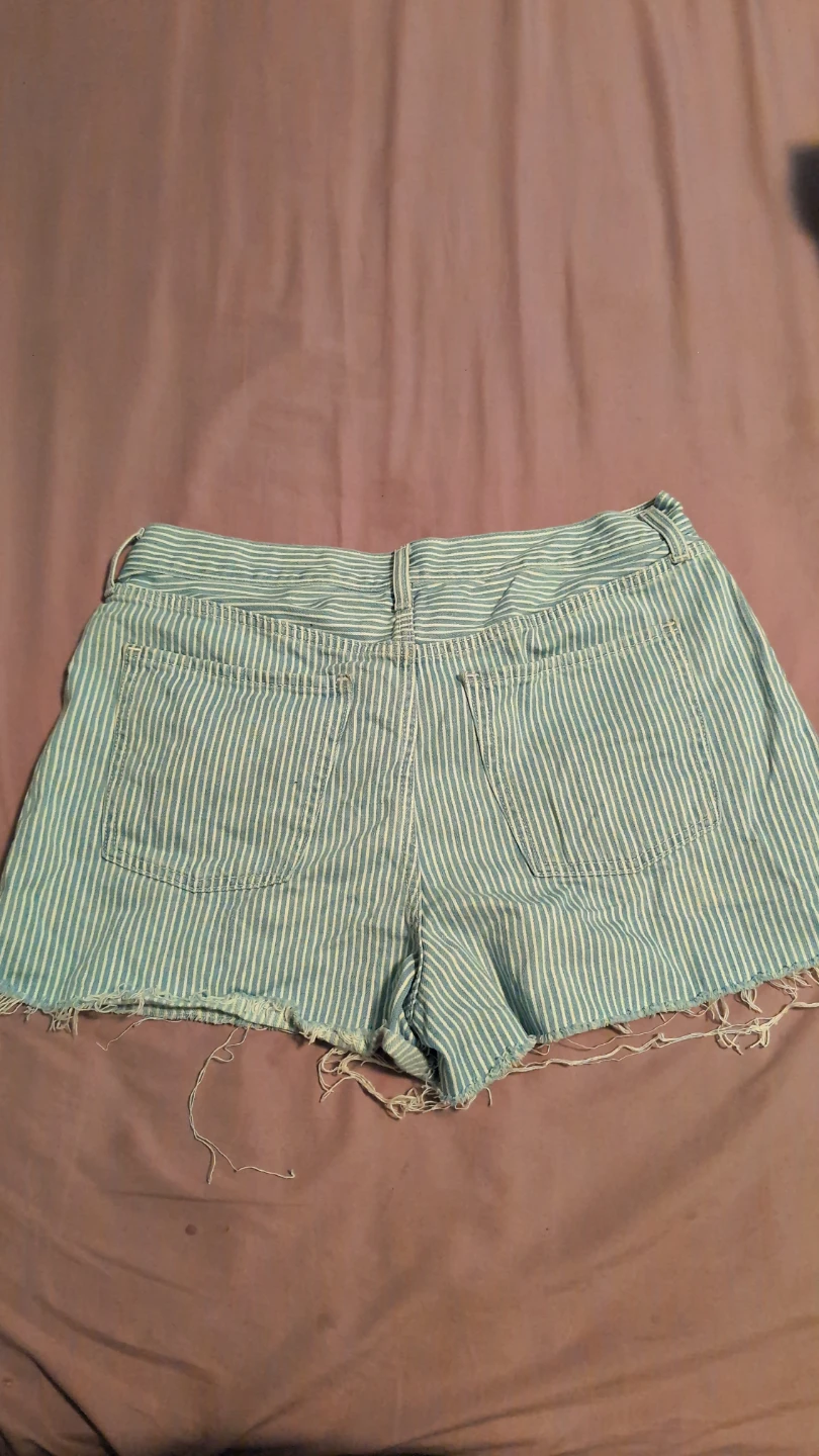 Women's Denim Shorts - Blue Stripe & Light Wash - photo 3