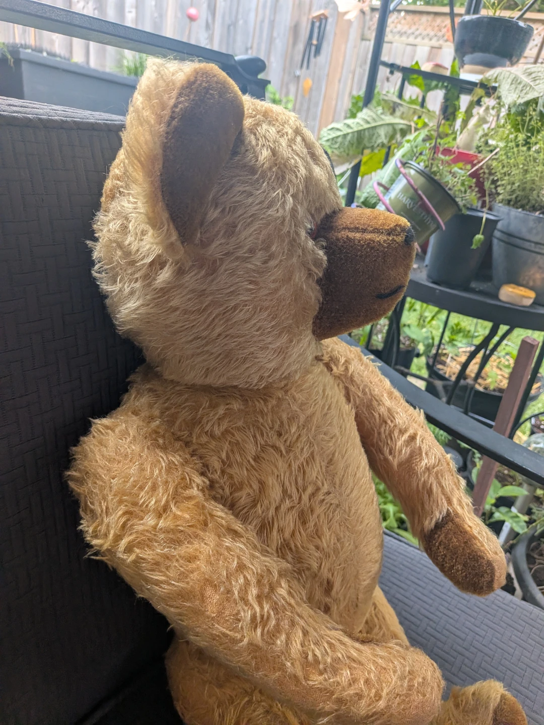 Vintage 1950's large Teddy Bear Plush Toy made in Germany - photo 5