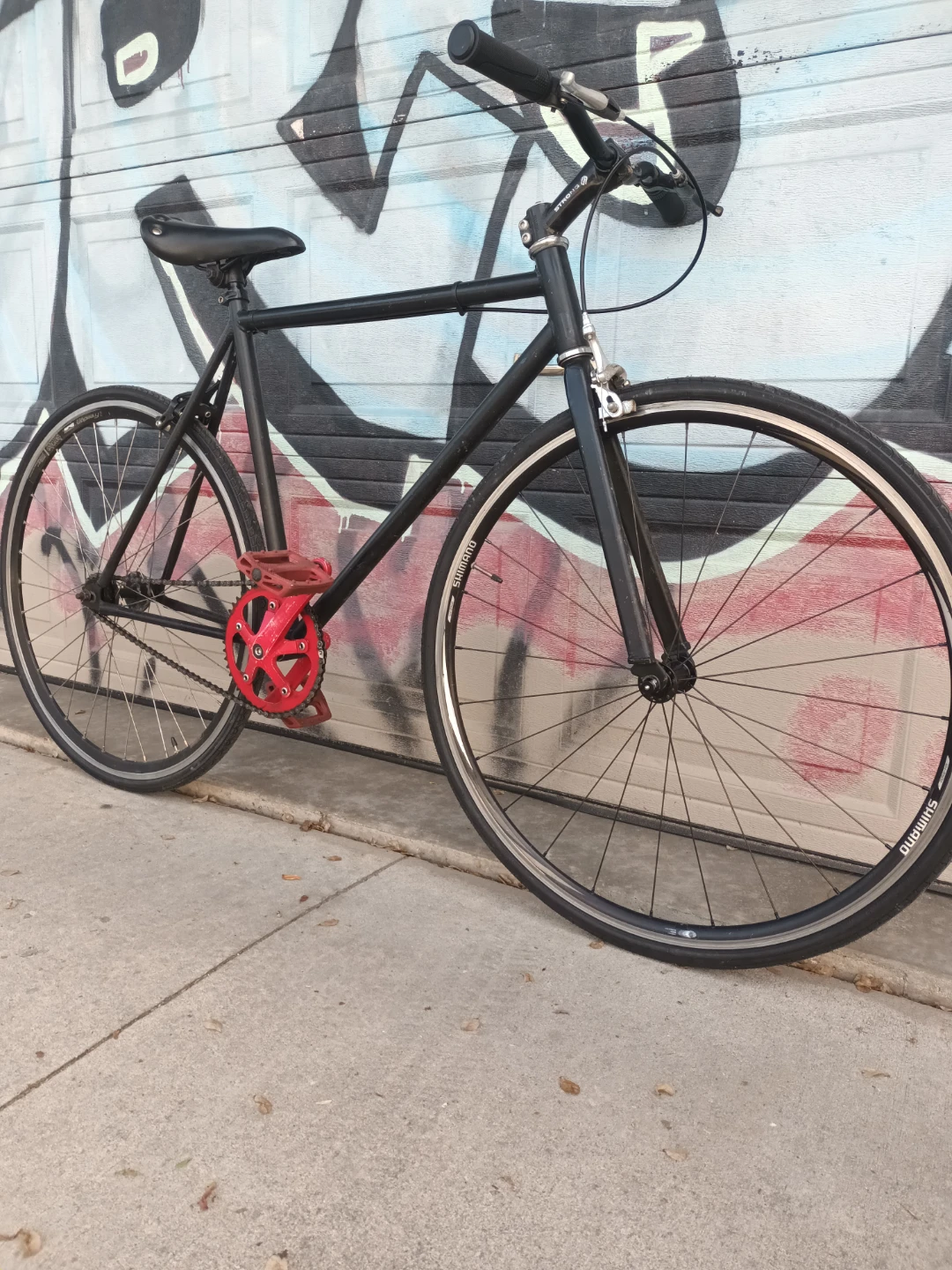 Single Speed Bike - photo 2