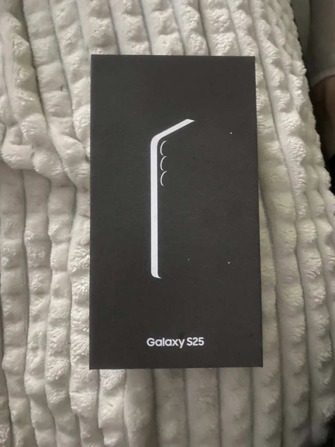 Samsung Galaxy S25 - photo 3