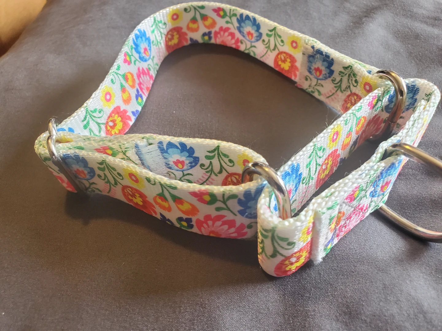 4 Dog Collars & 3 Leashes HIGH QUALITY BRAND NAMES. - photo 5