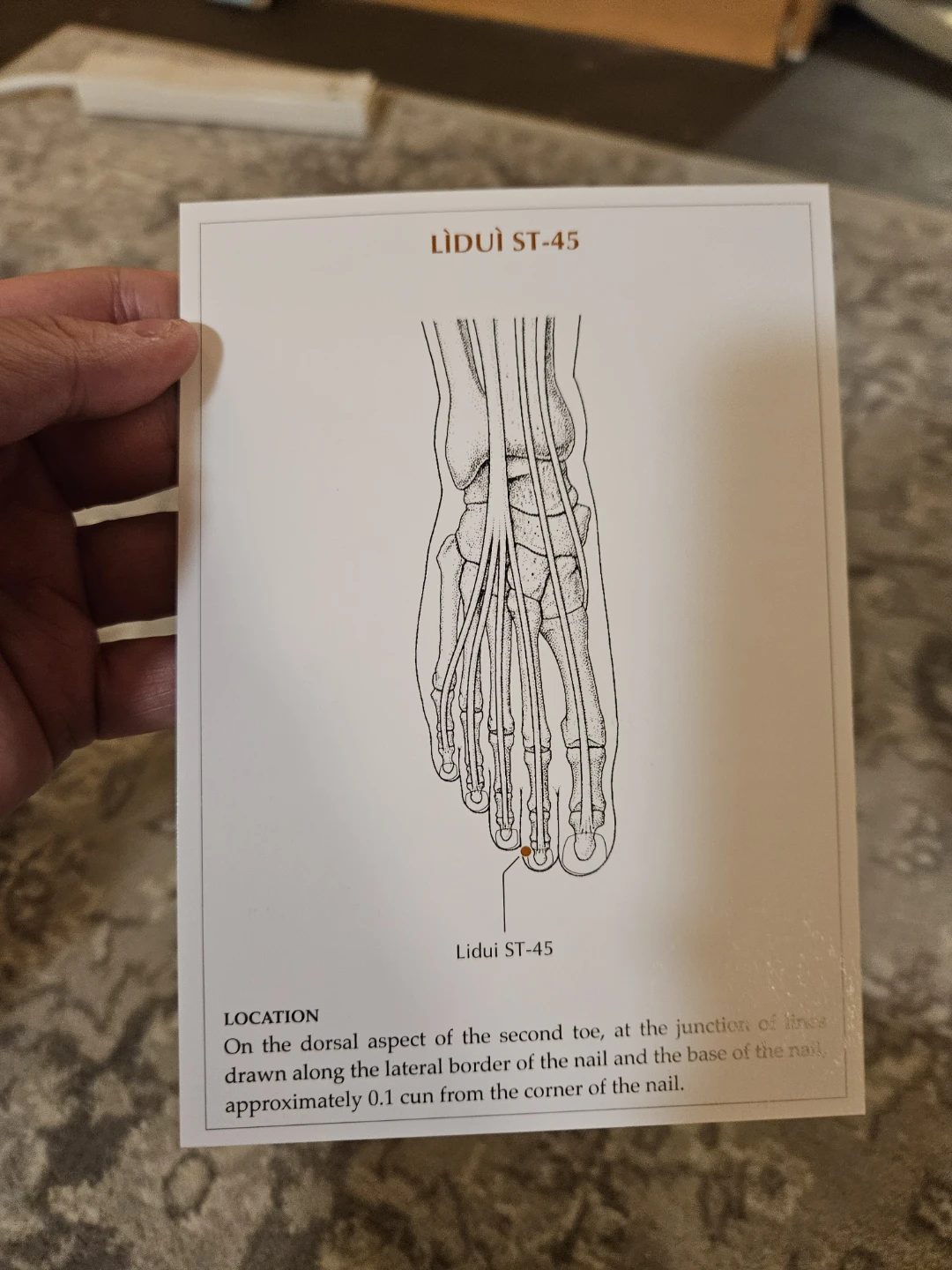 A Manual of Acupuncture Point Cards - photo 3