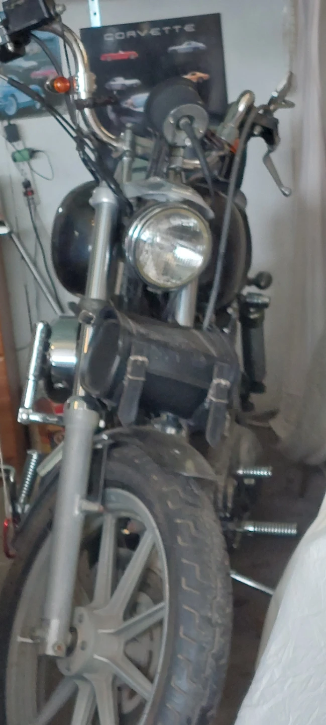 Motorcycle with custom flames - photo 4