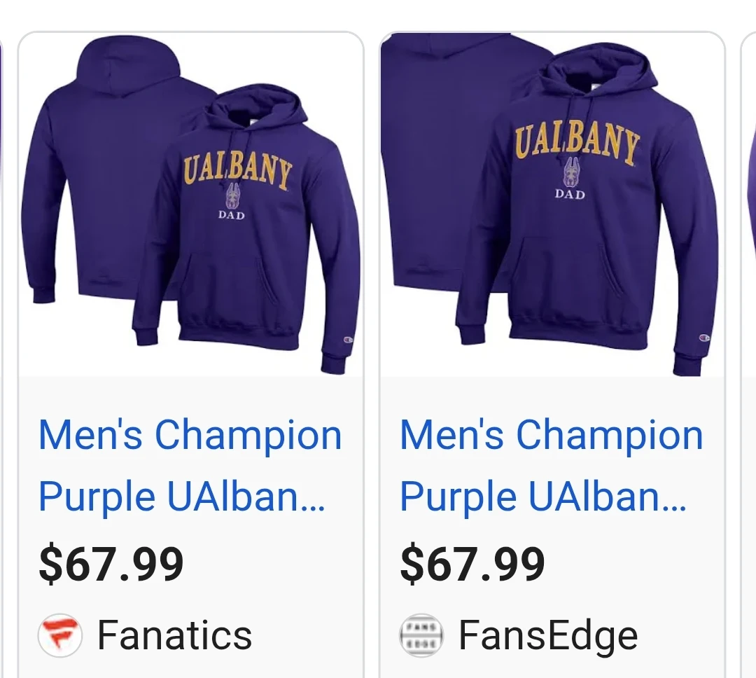 Champion Albany Dad Hoodie Sweatshirt Large Gray - photo 4