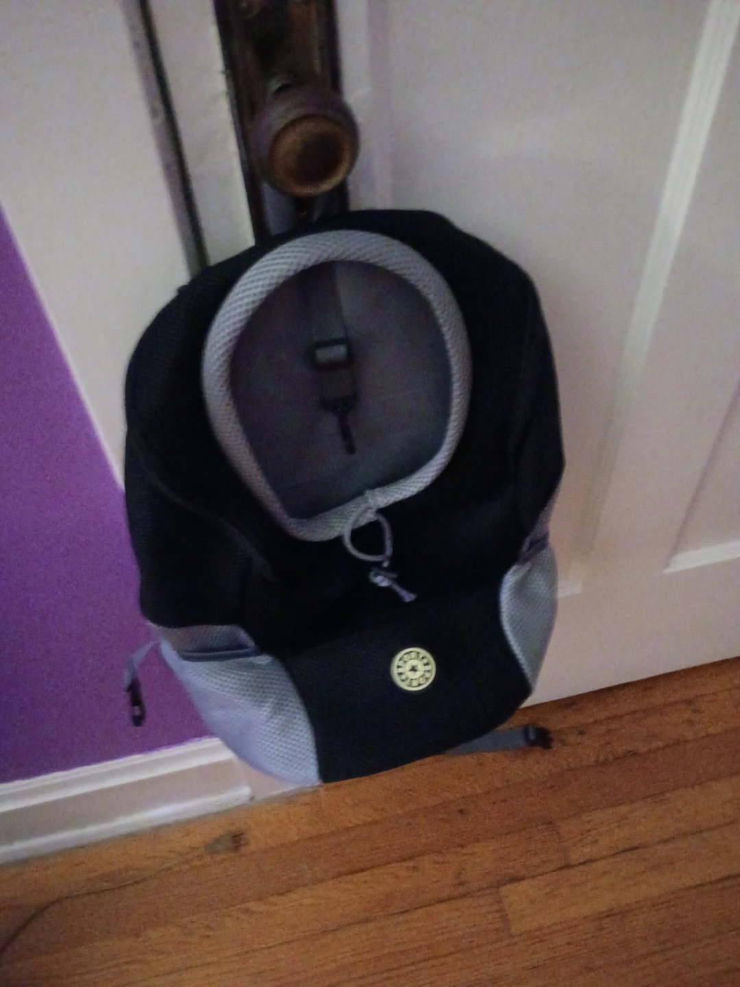 Small dog carrier back pack