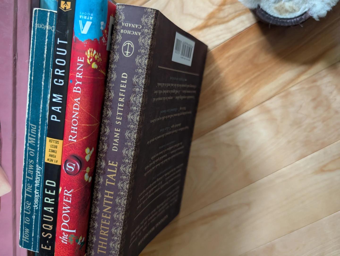 Thirteenth Tale by Diane Setterfield