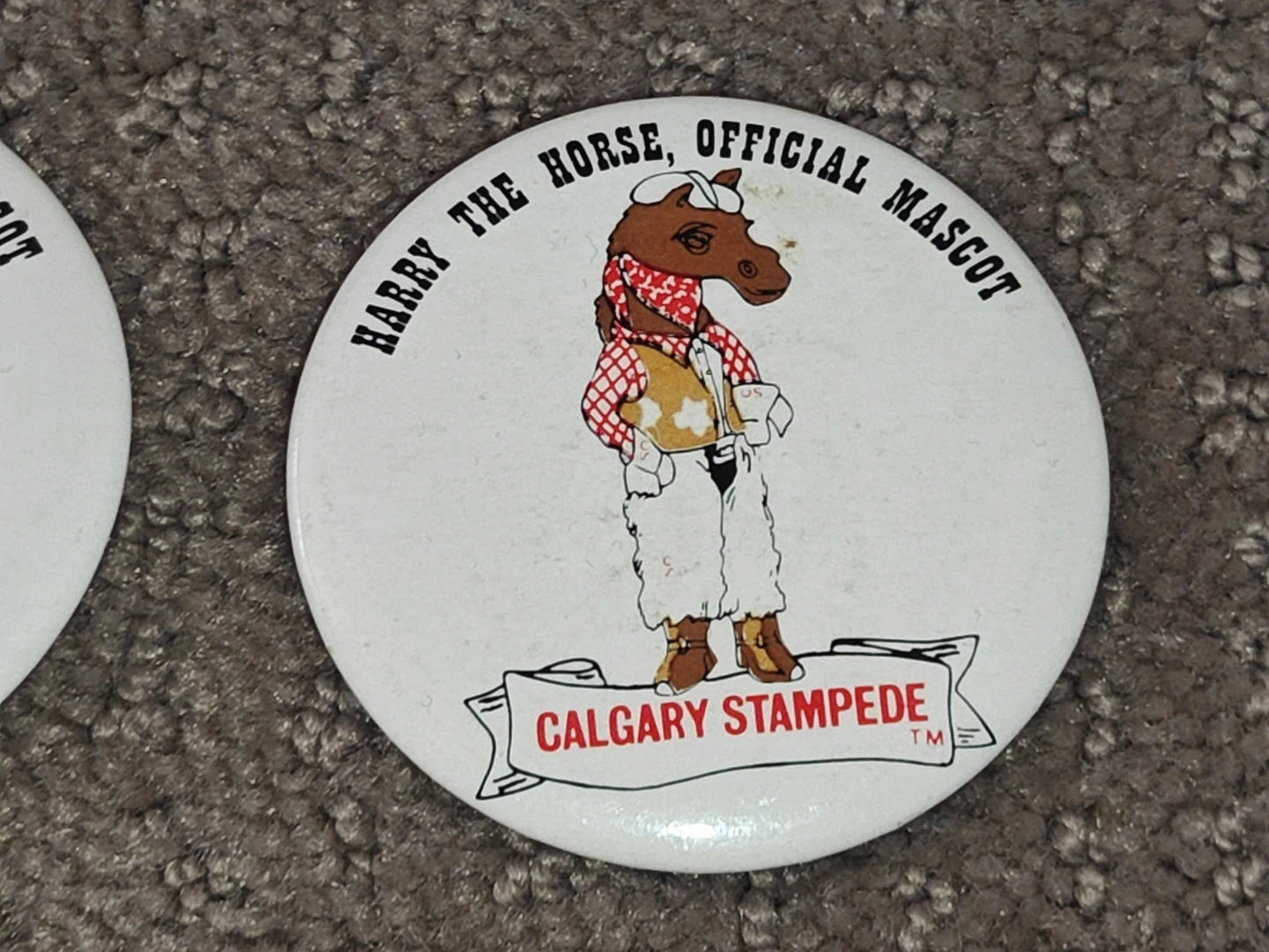 Harry The Horse Calgary Stampede Mascot - Button Pinback Pin - photo 3