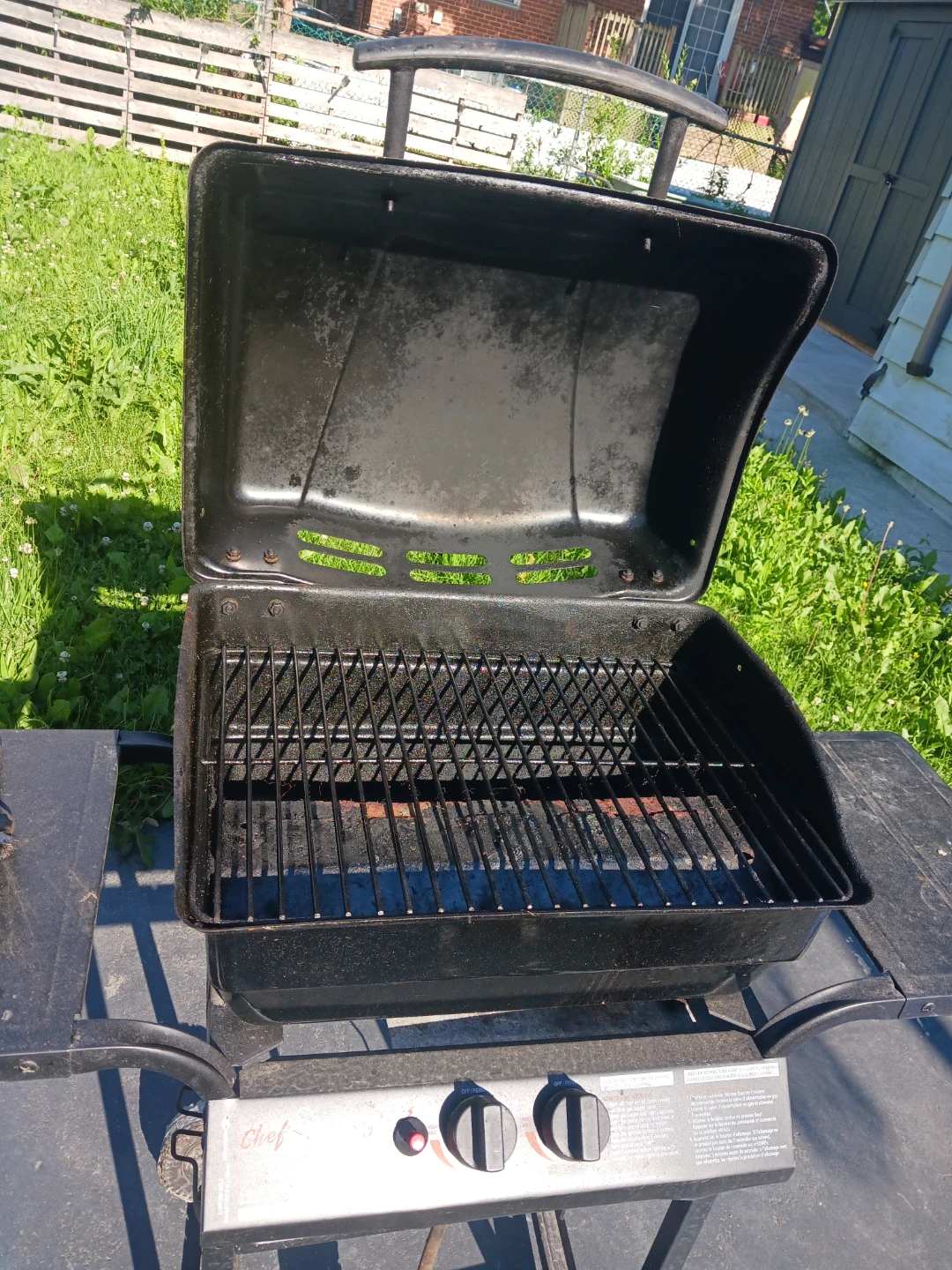Enjoy summer with BBQ Grill - photo 3