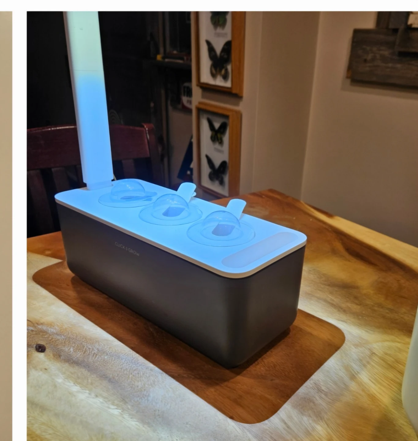 Click & Grow Smart Garden 3 - photo 4