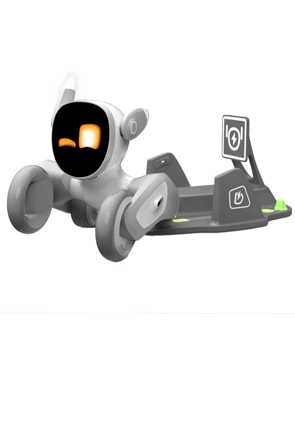 AI Companion Robot