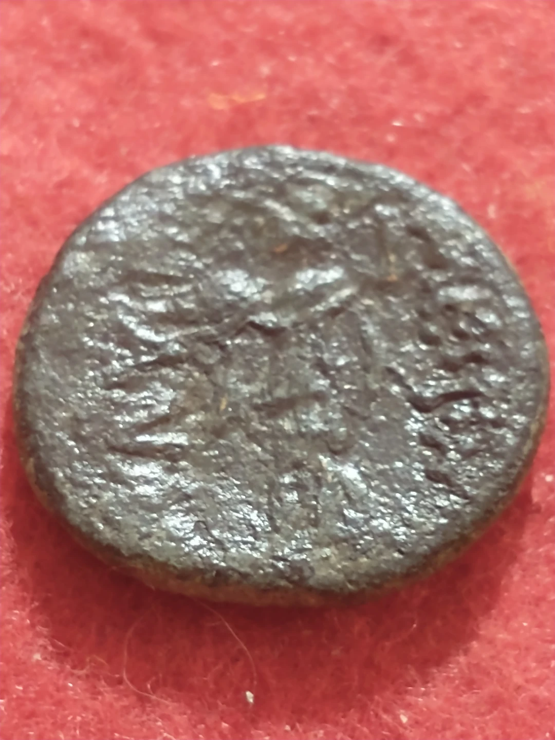 Ancient Coin - Mesembria Thrace c. 300 BC - photo 4