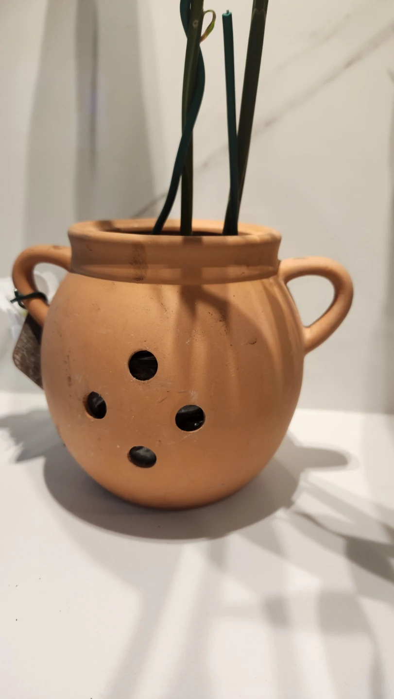 Upcycled Ginger pot planter with plant - photo 2