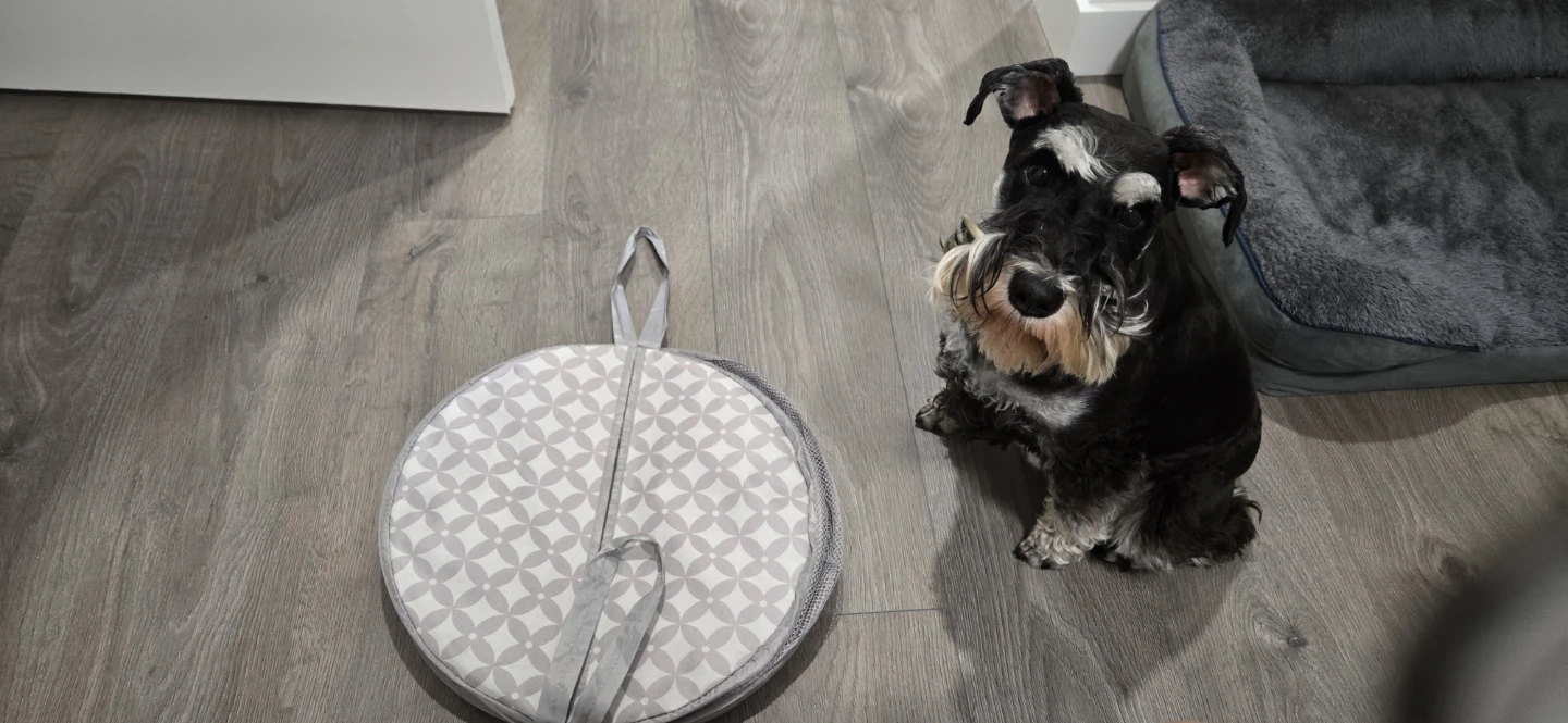 Foldable Laundry Hamper - photo 2