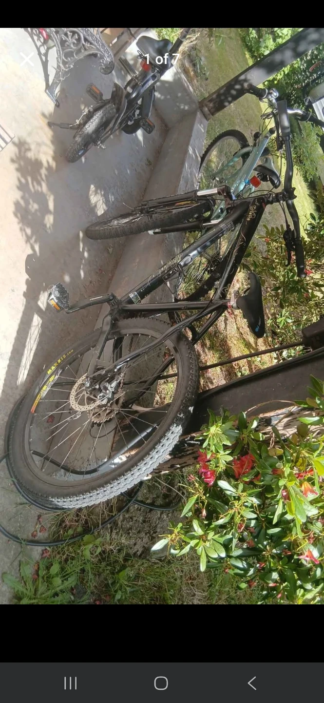 Mountain Bike