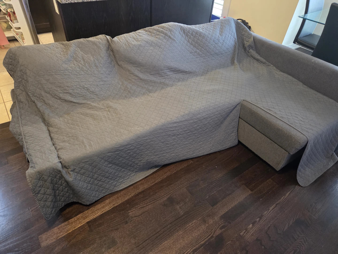 Grey Sectional Sofa bed