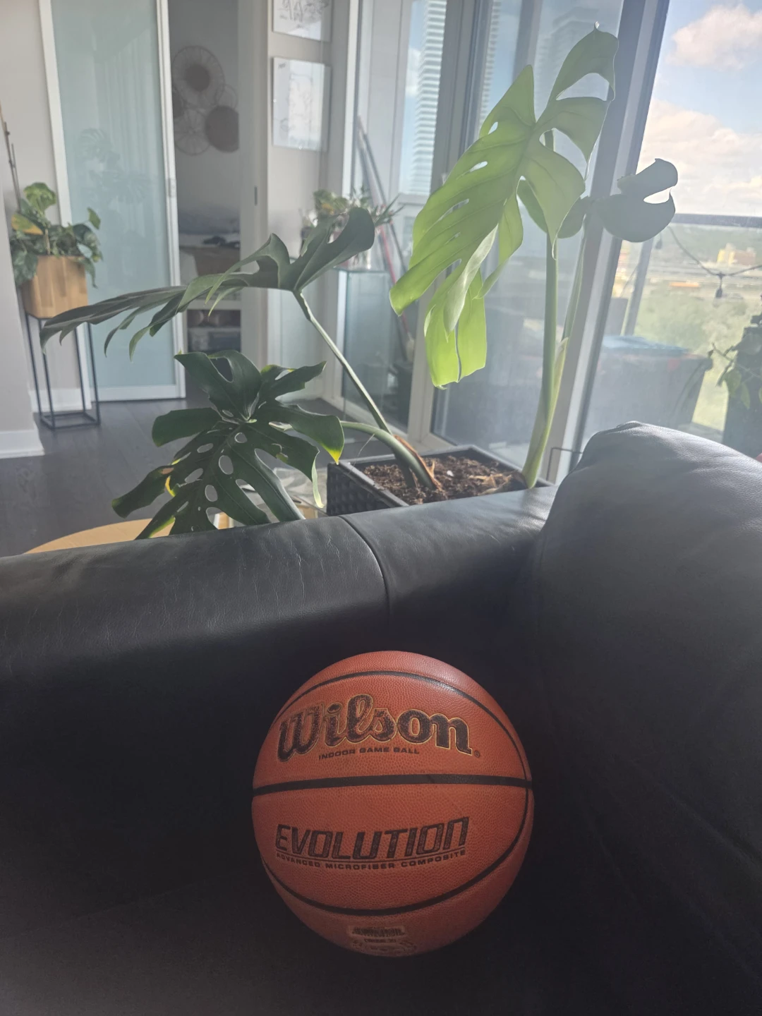 Wilson Evolution Indoor Game Basketball