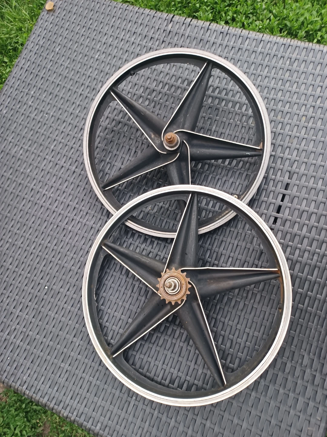 Pair of 5-Spoke Bicycle Wheels