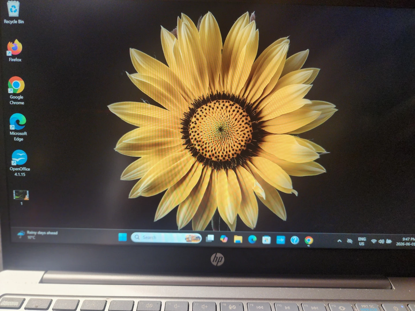 HP 14" Laptop - em0xxx