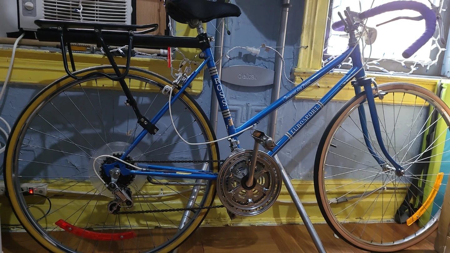 Blue Ross Eurosport Road Bike