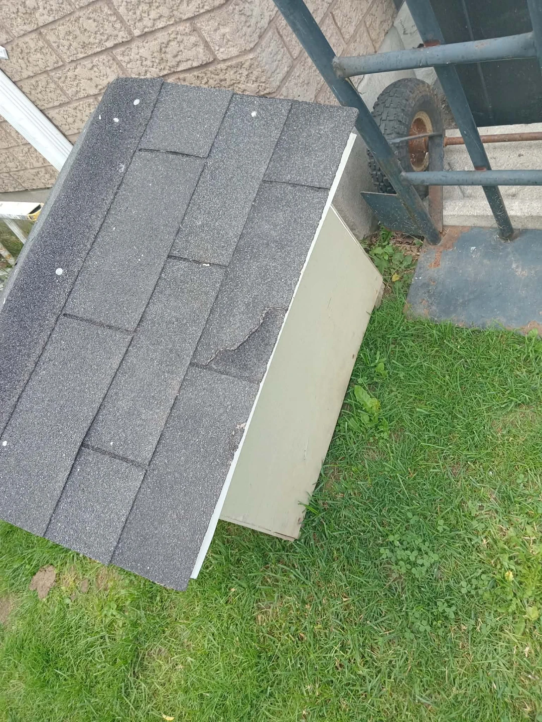Dog House - photo 4