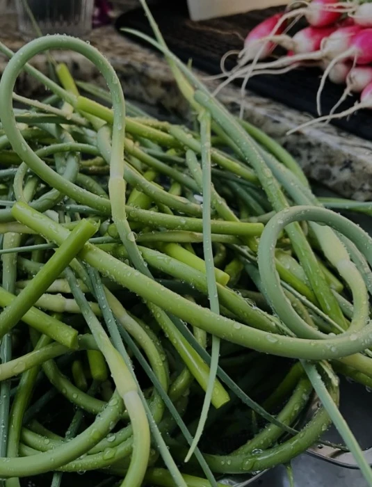 Organic Garlic Scapes - photo 2