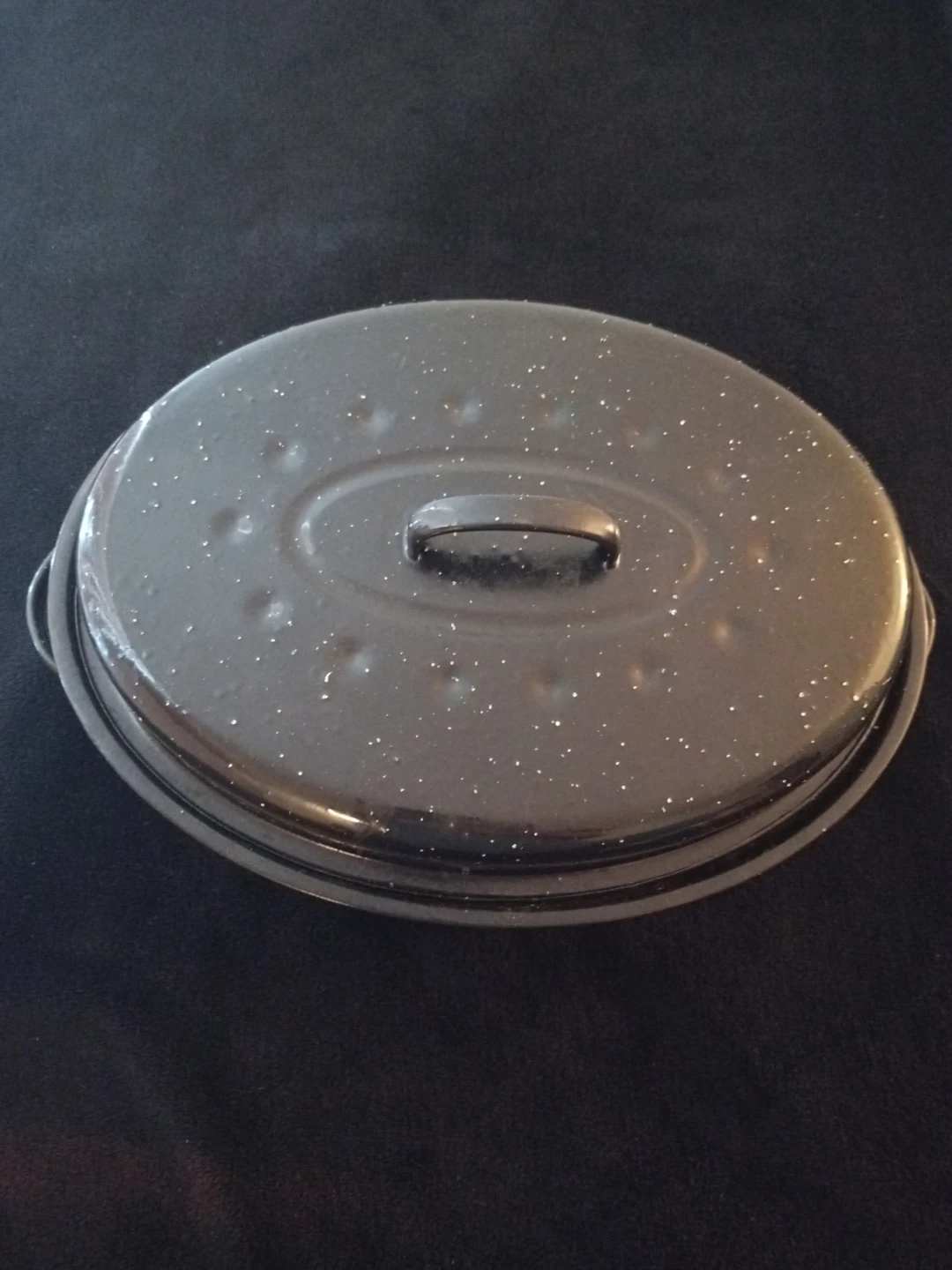 Oval Roasting Pan with Lid