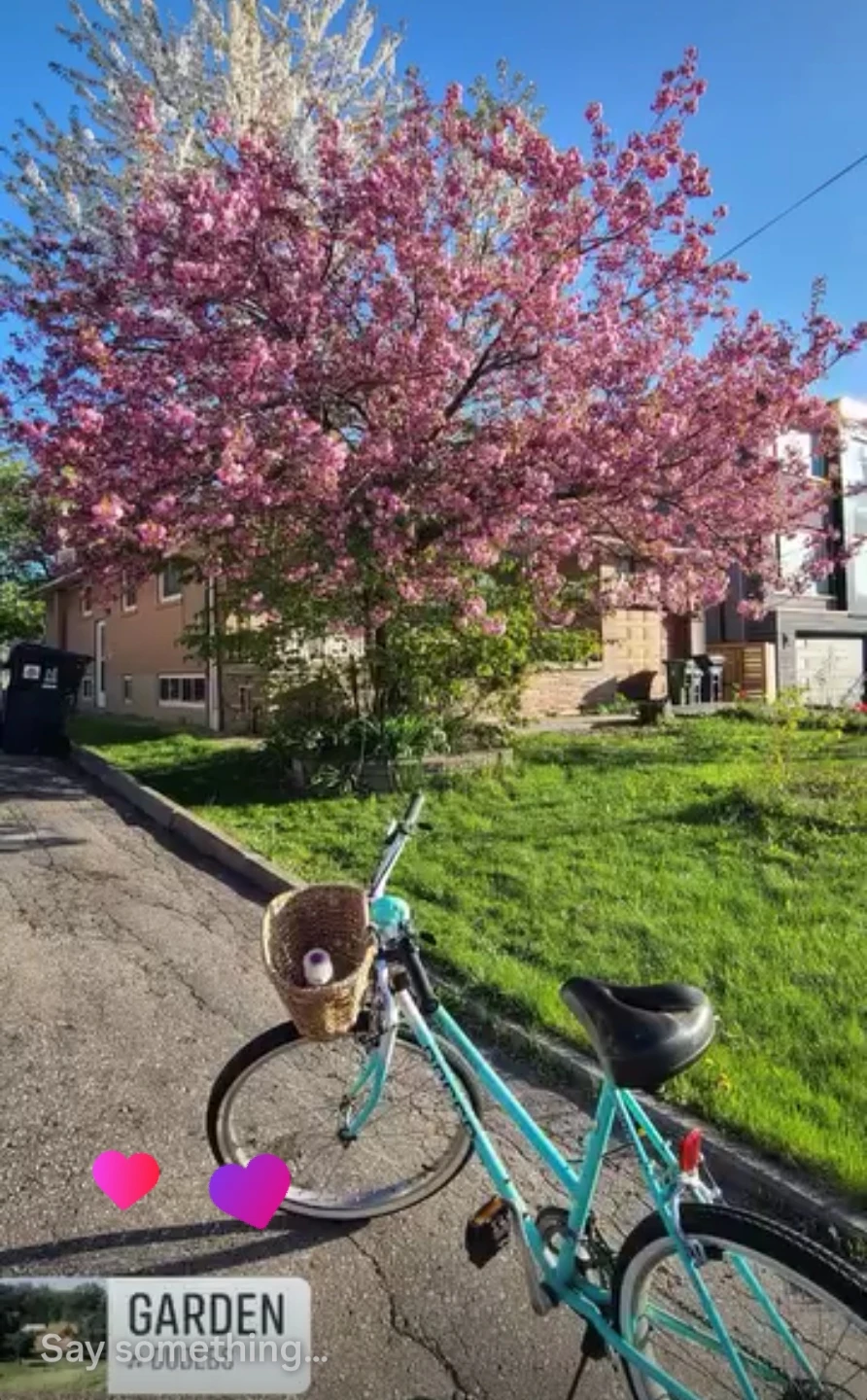 Teal Cruiser Bicycle with Basket