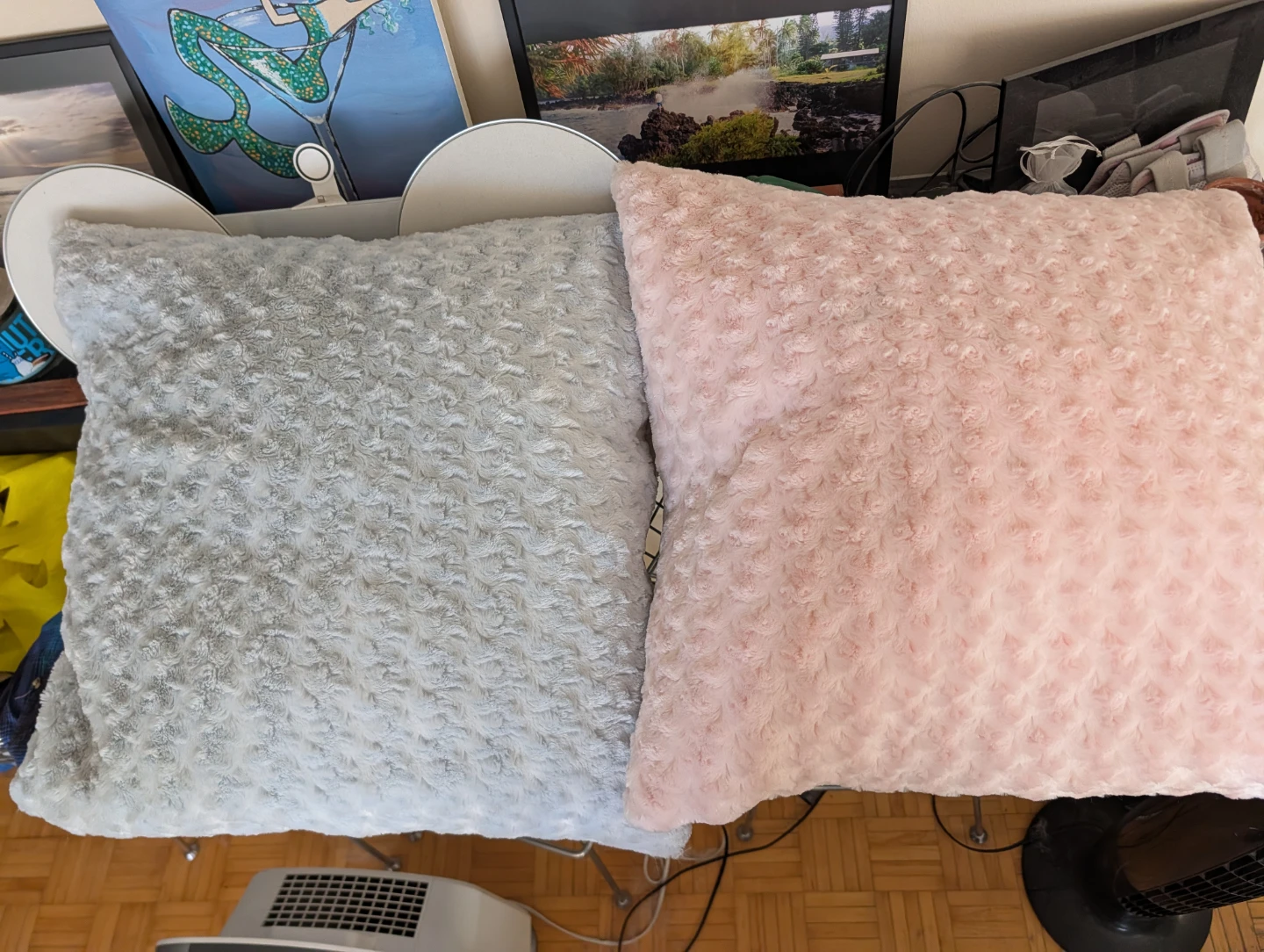 Plush Throw Pillows (Set of 2)