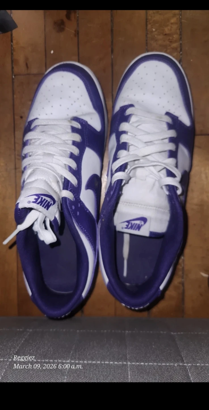 Nike Dunk Low Shoes
